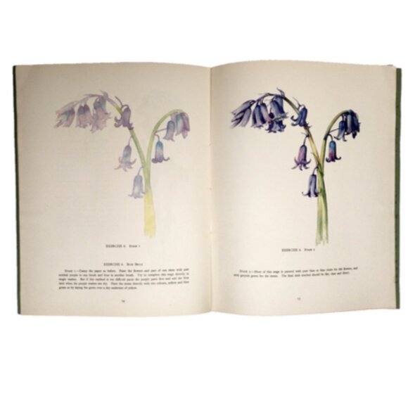 The Art For All Water Colour Series Flowers 1942 Paperback by J Littlejo… - Picture 4 of 5